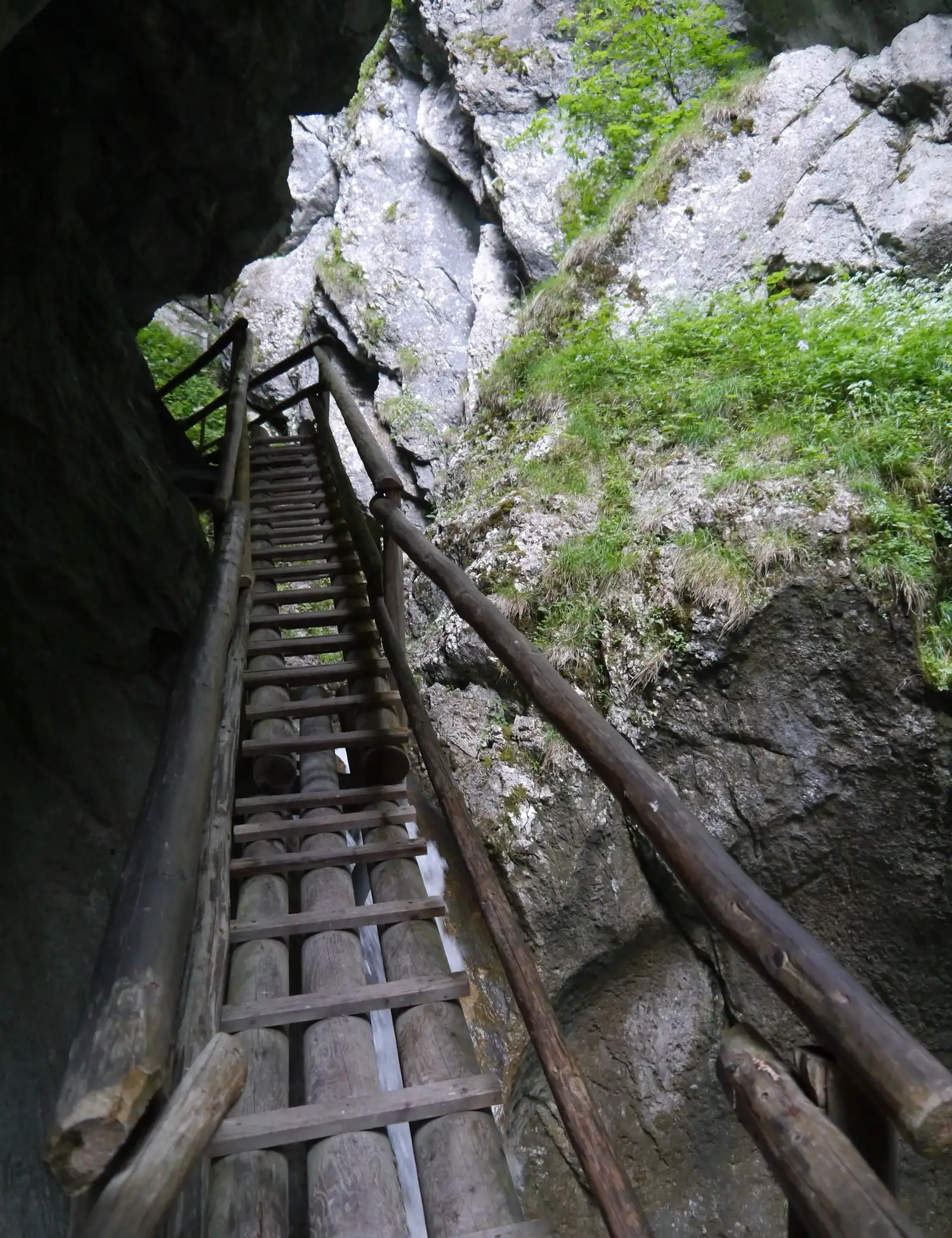 Steile Holzleiter in der Bärenschützklamm