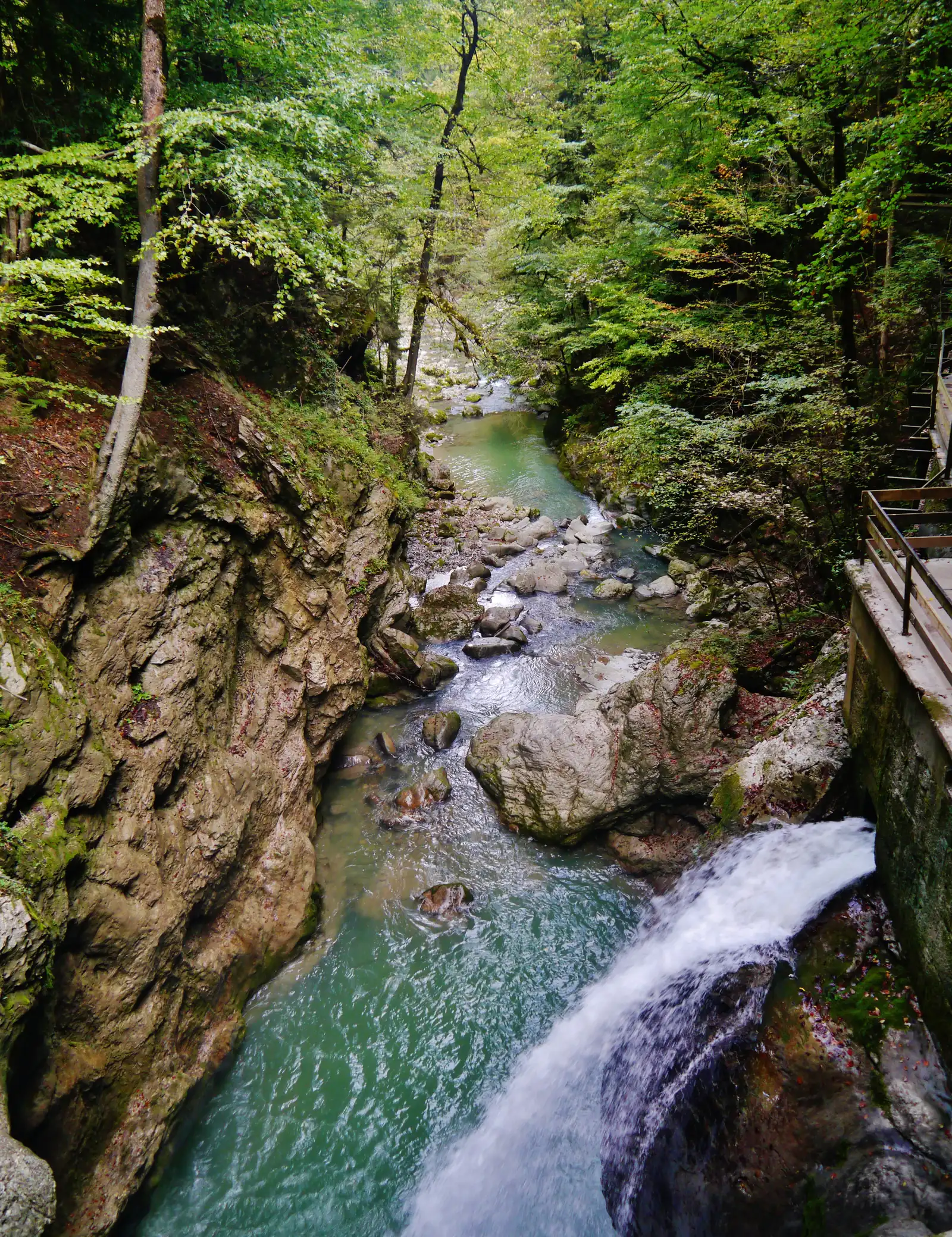 Wasserfall und Becken in der Rappenlochschlucht bei Dornbirn