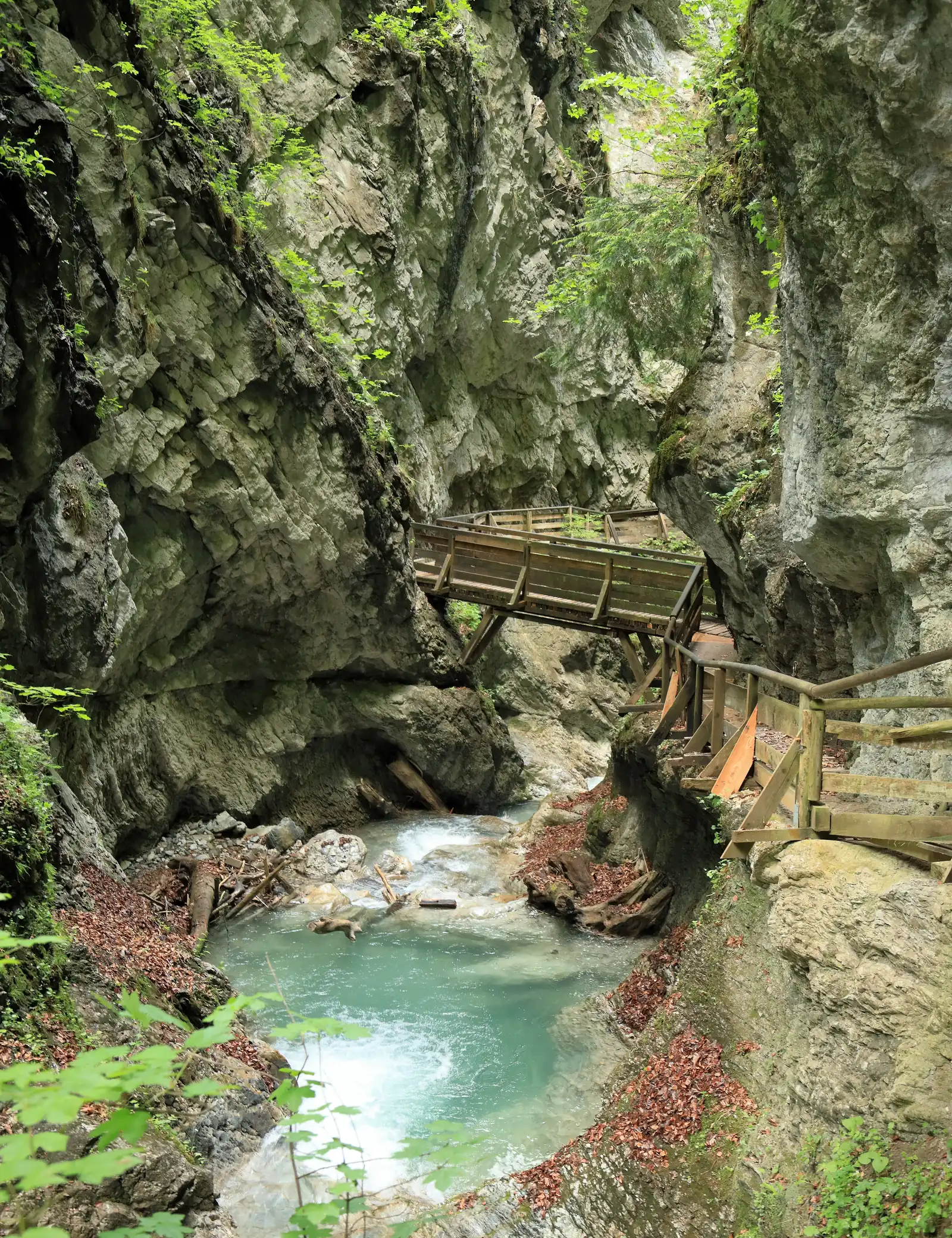 Holzsteg über grünem Wasser in der Wolfsklamm bei Stans