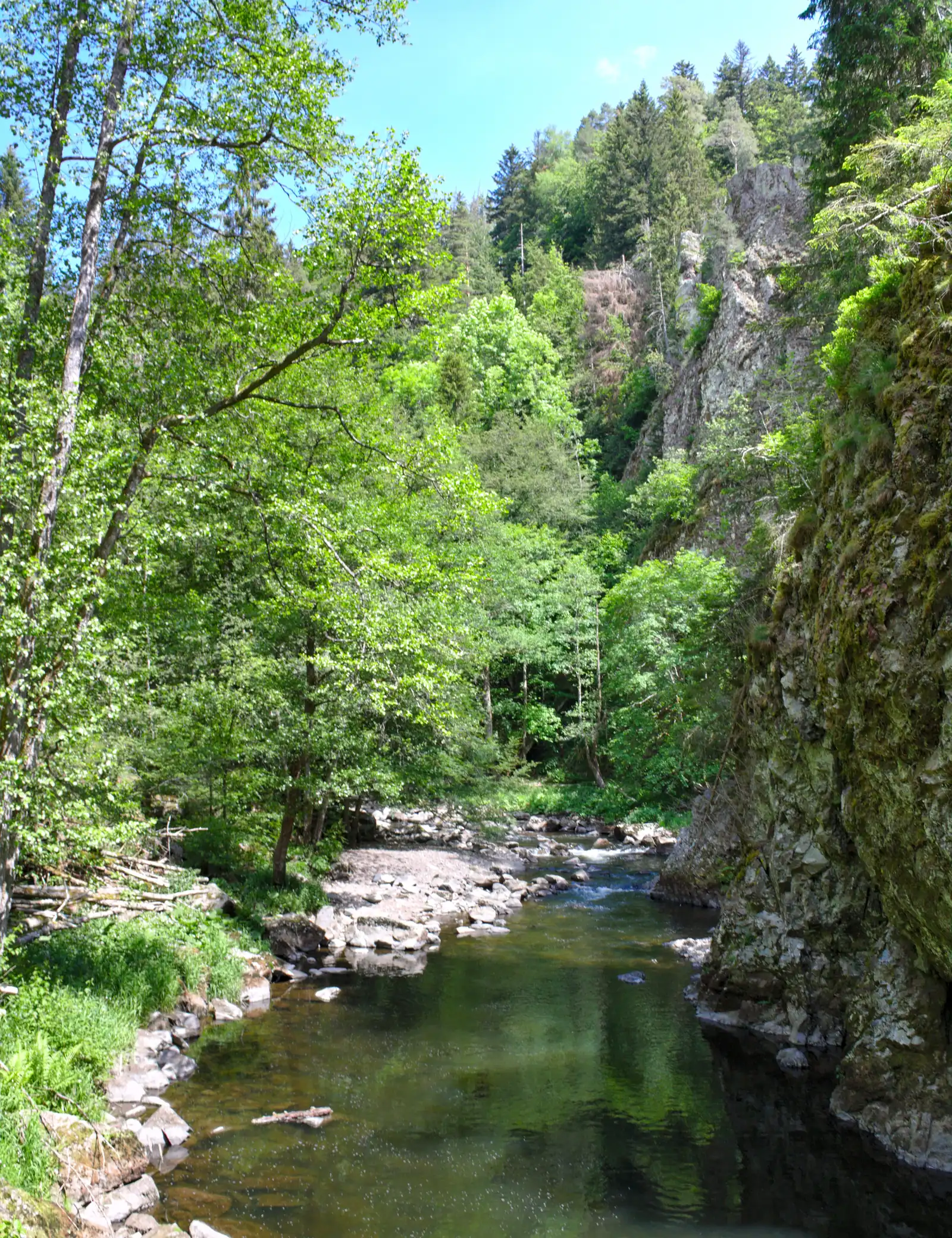 Die Wutach fließt ruhig zwischen bewaldeten Felswänden